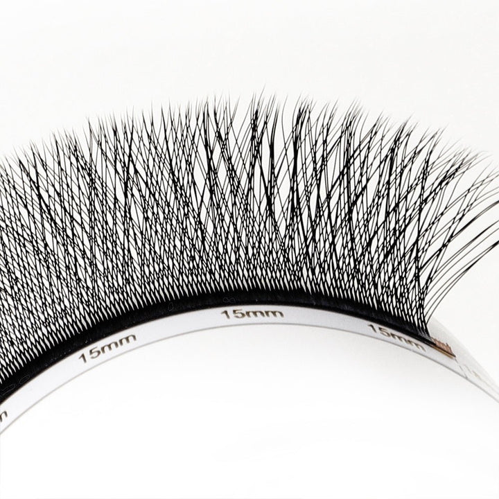 0.07mm 3D W Clover Lashes - Swaniyalashes