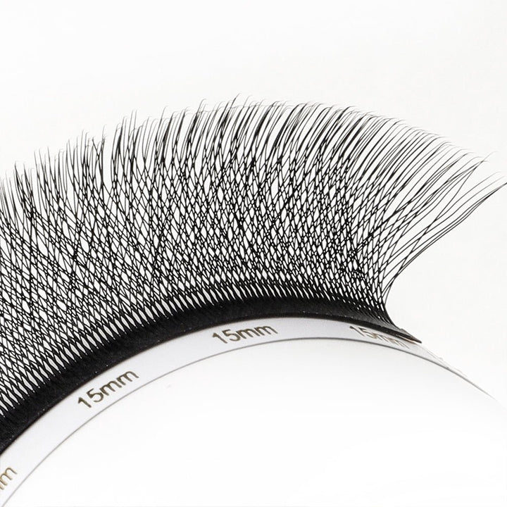 4D W Lashes 0.07 - Swaniyalashes