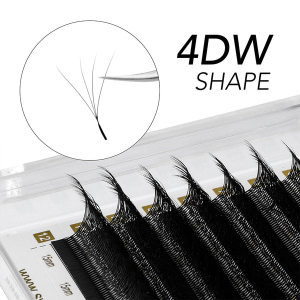 4D W Lashes 0.07 - Swaniyalashes