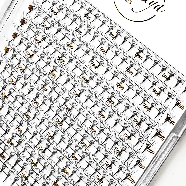 6D Lash Extensions Premade Fans – Natural Volume | 240 pcs - Swaniyalashes