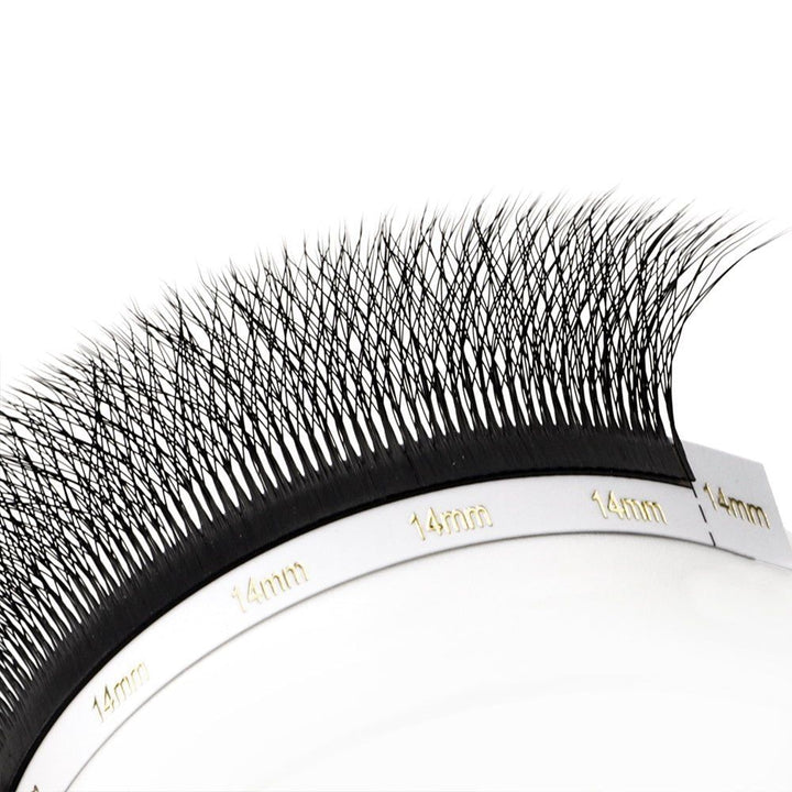 7D W Clover Lashes 0.07 - Swaniyalashes