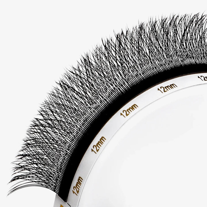 0.07mm 3D W shape Clover Lashes - Swaniyalashes