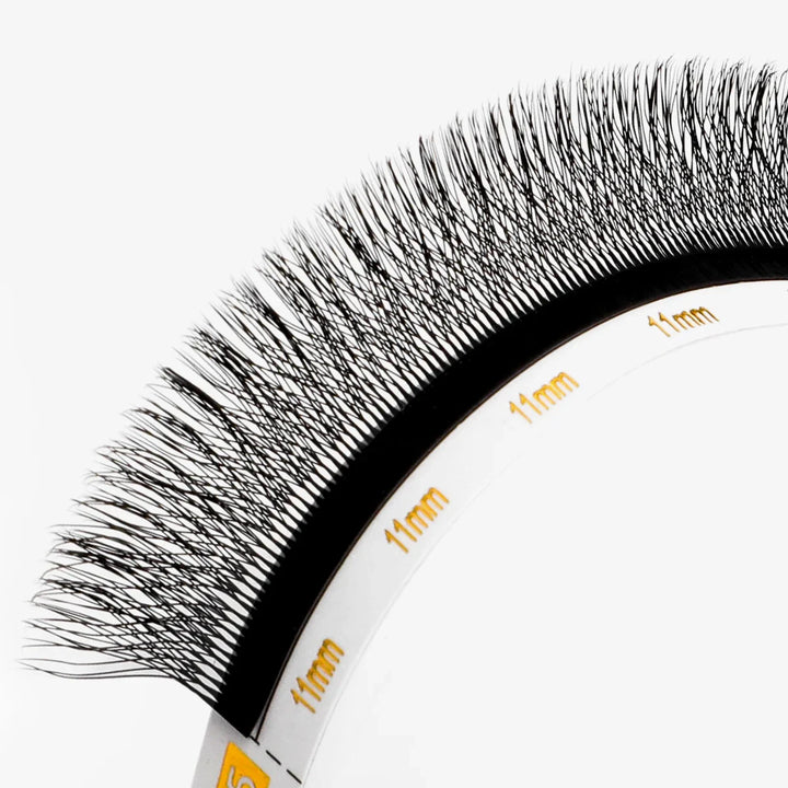 0.07mm 5D W shape Clover Lashes - Swaniyalashes
