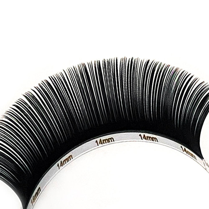 Ellipse Flat Lashes 0.10 - Swaniyalashes