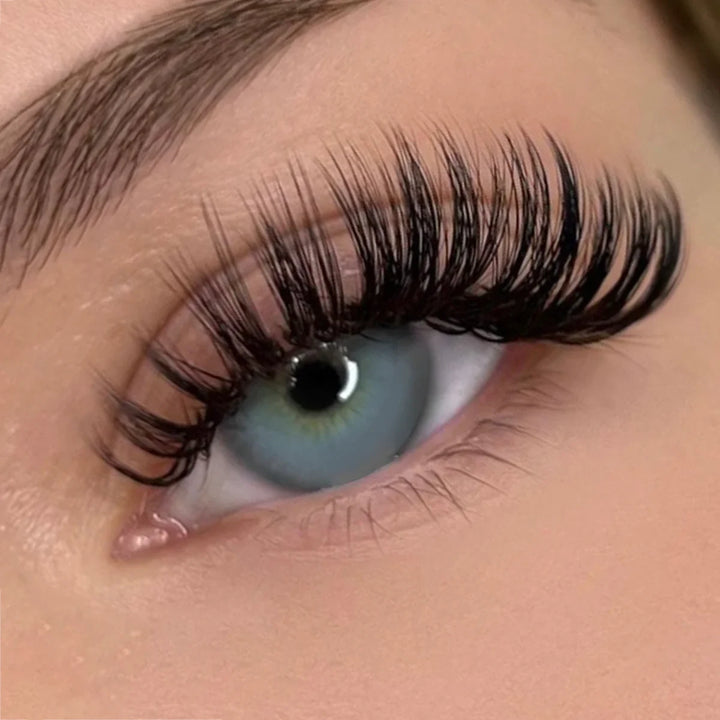 0.07mm Cashmere Russian Volume Eyelash Extensions - Swaniyalashes