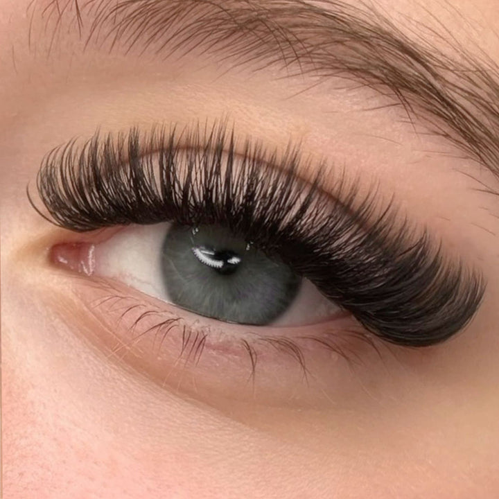 0.05mm Cashmere Russian Volume Eyelash Extensions - Swaniyalashes