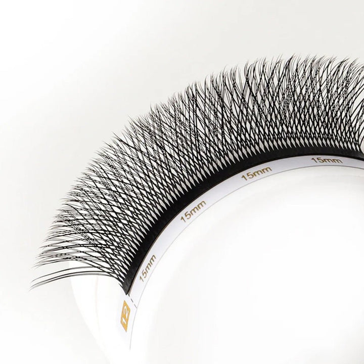 WW Colver Lashes - Swaniyalashes