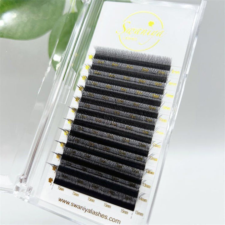 4D W Clover Lashes 0.07（Wholesale） - Swaniyalashes