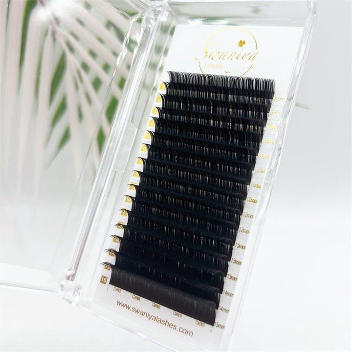 Cashmere Ellipse Flat Lashes 0.10（Wholesale） - Swaniyalashes