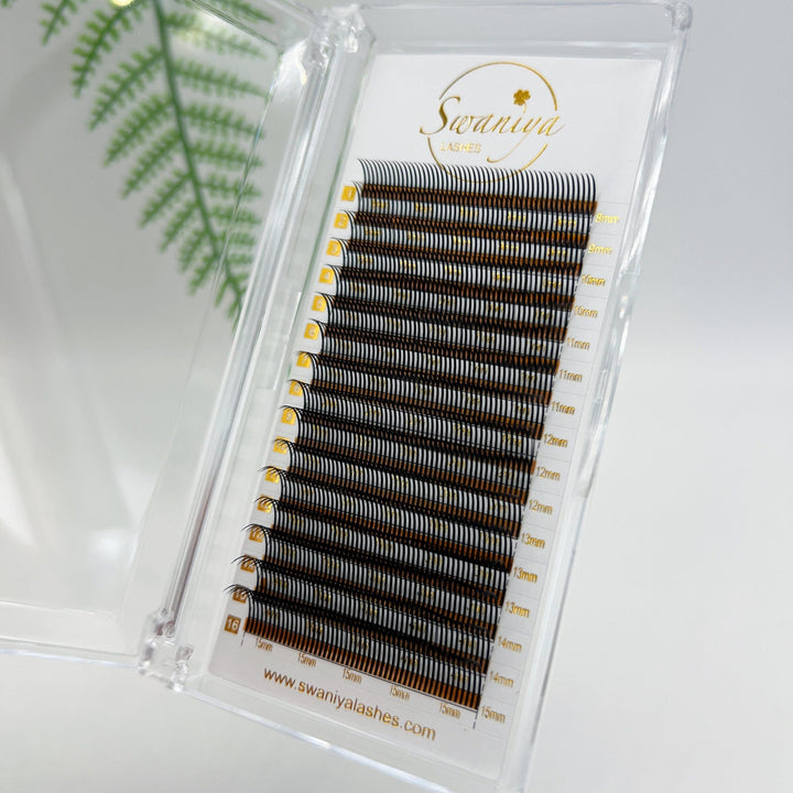 Cashmere Volume Wispy Lashes 0.05 (Wholesale) - Swaniyalashes