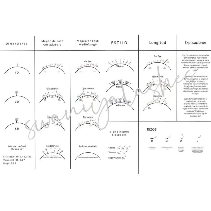 Lash Mapping Album for Training - Swaniyalashes